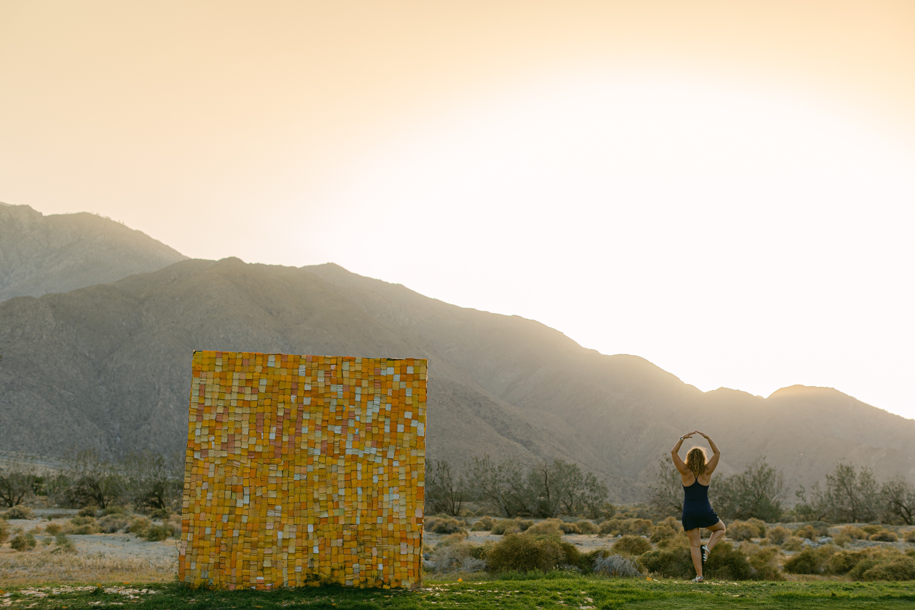 Palm Springs Art Museum, Desert X and the Ace hotel by Shewanders
